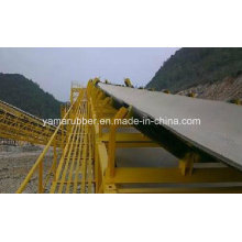 Nn400 Nylon Conveyor Belt with Good Resistance to Flexural Fatigue